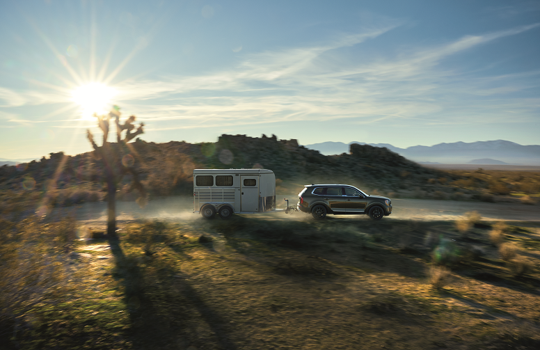 Kia Telluride Lease Deals near Ann Arbor MI
