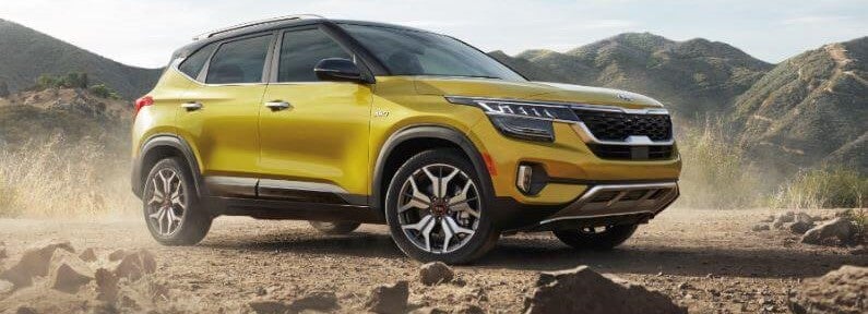 Kia Seltos vs Hyundai Kona Novi MI