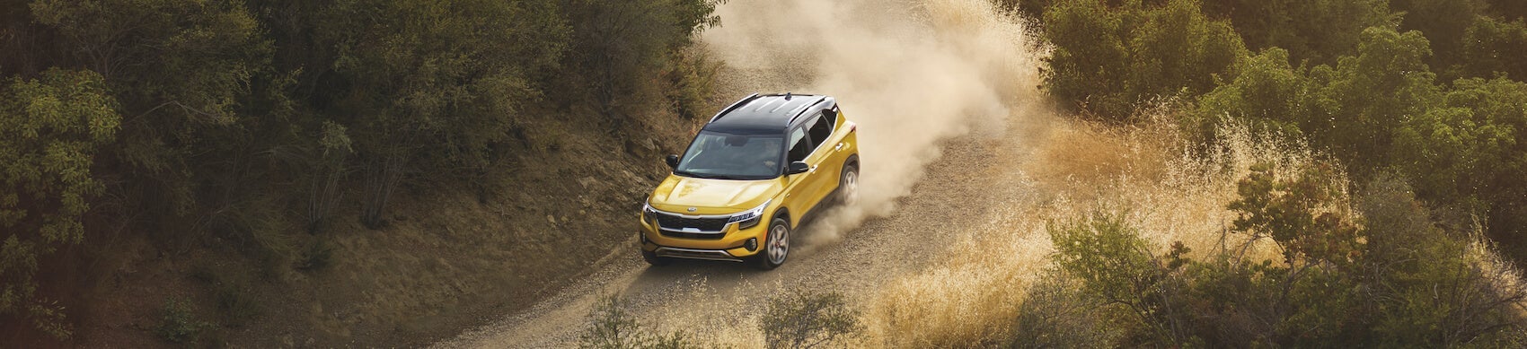 Used Car Dealer Ann Arbor MI